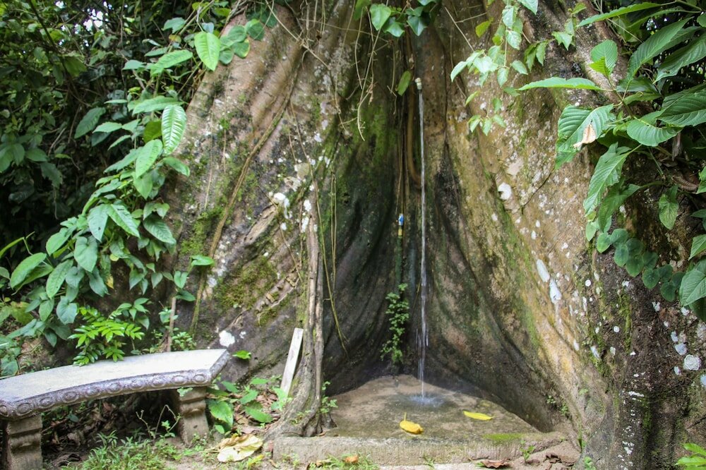 Фото Secluded Beach Hotel