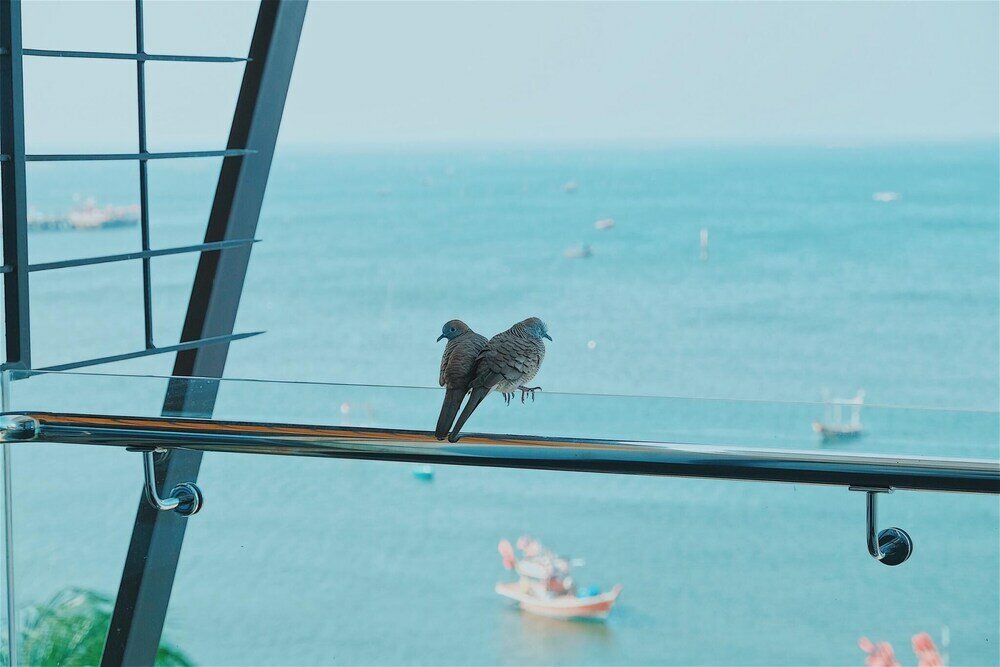 Фото Sea Sand Trees