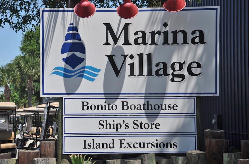 Фото 707 Silverside