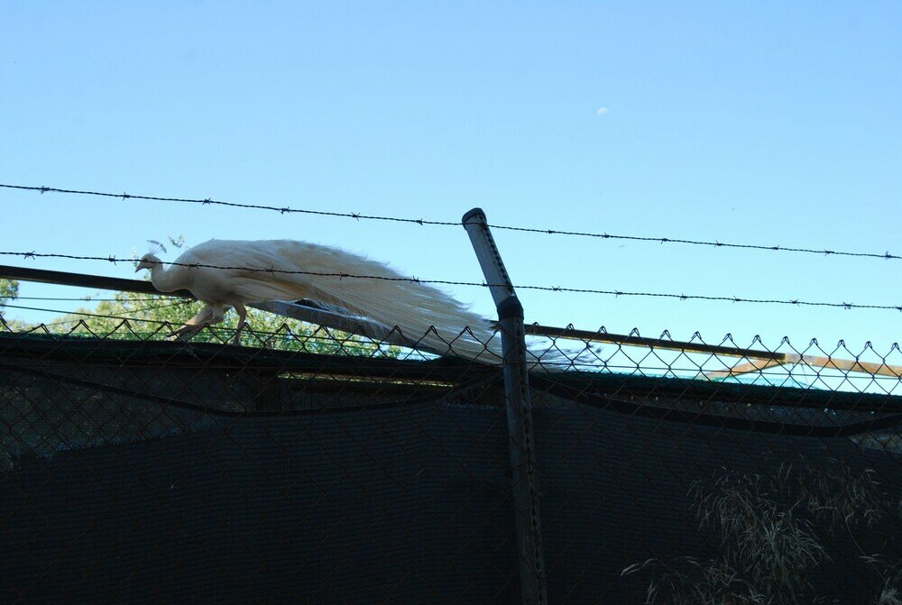 Фото Vivienda Rural el Retorno