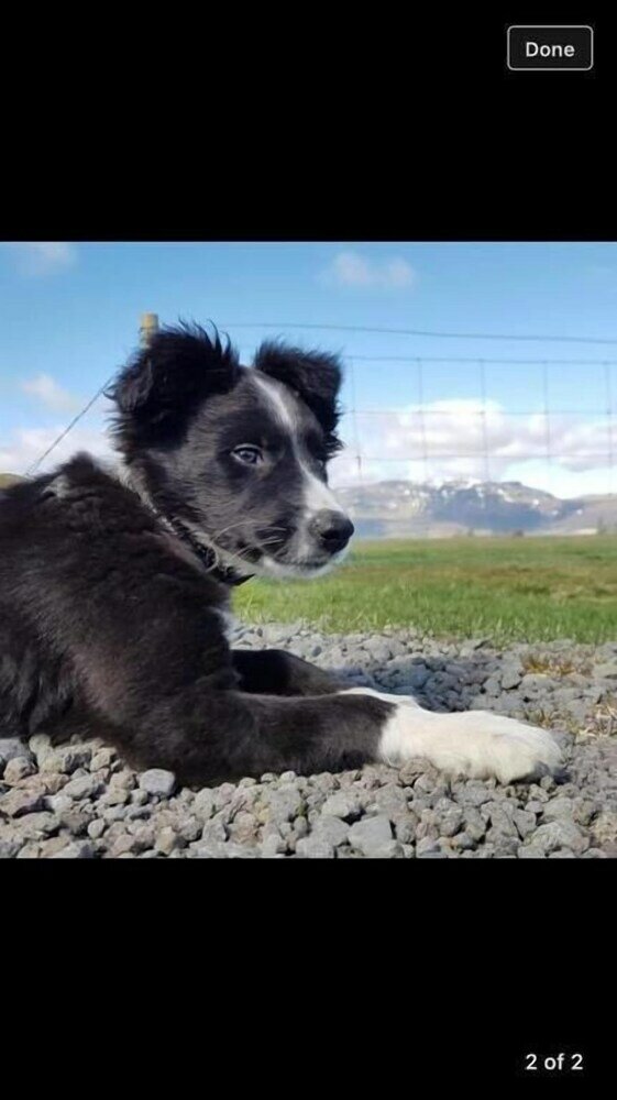Фото Skálinn between Gullfoss and Geysir – Myrkholt Farm