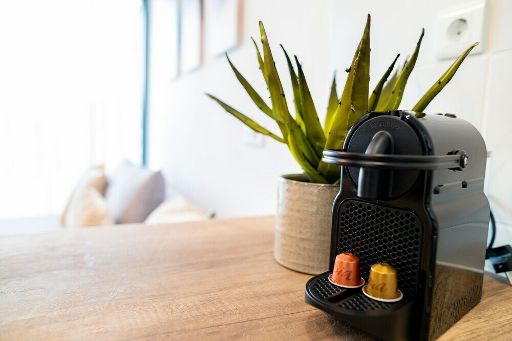 Фото Pebble Garden Aloe - Pampas Grass