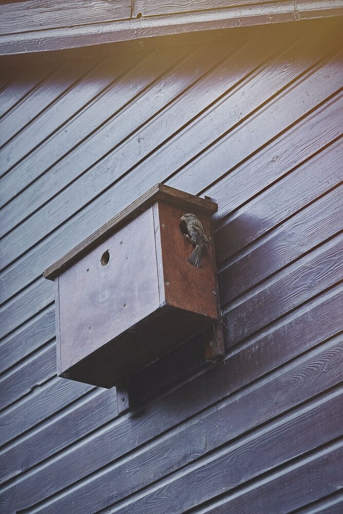 Фото B&b Maas EN Heuvel Maastricht