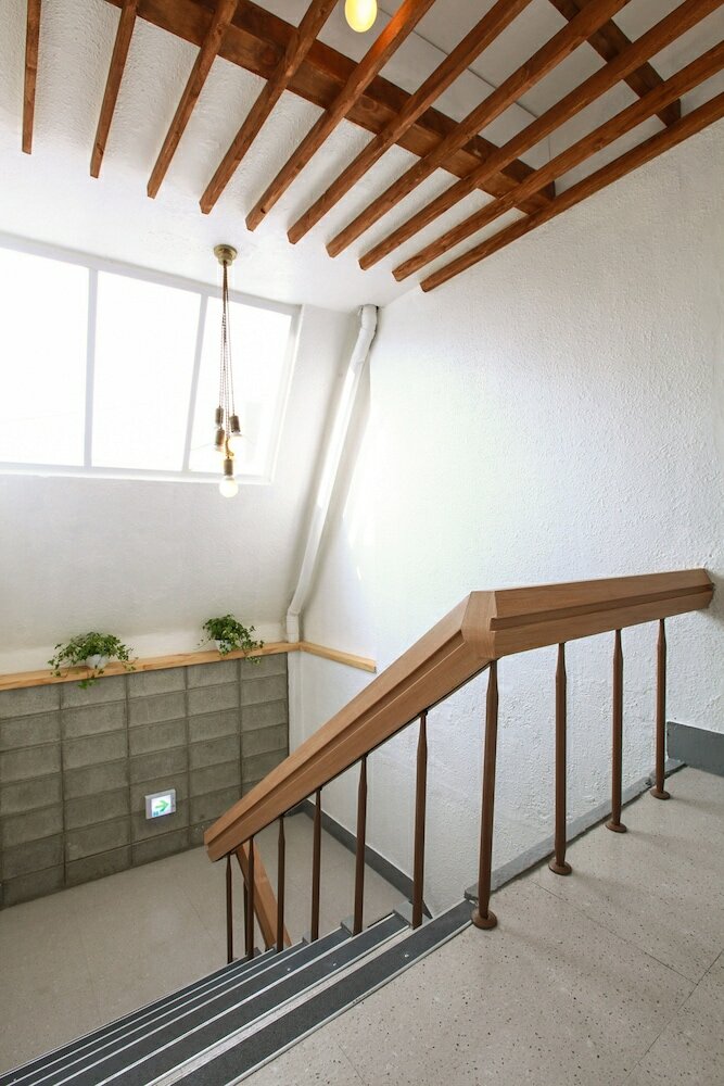 Фото Travel Monster