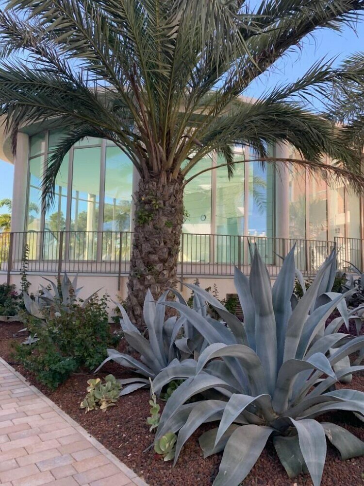 Фото La Zenia Penthouse Indoor/outdoor Pool &gym Eb3