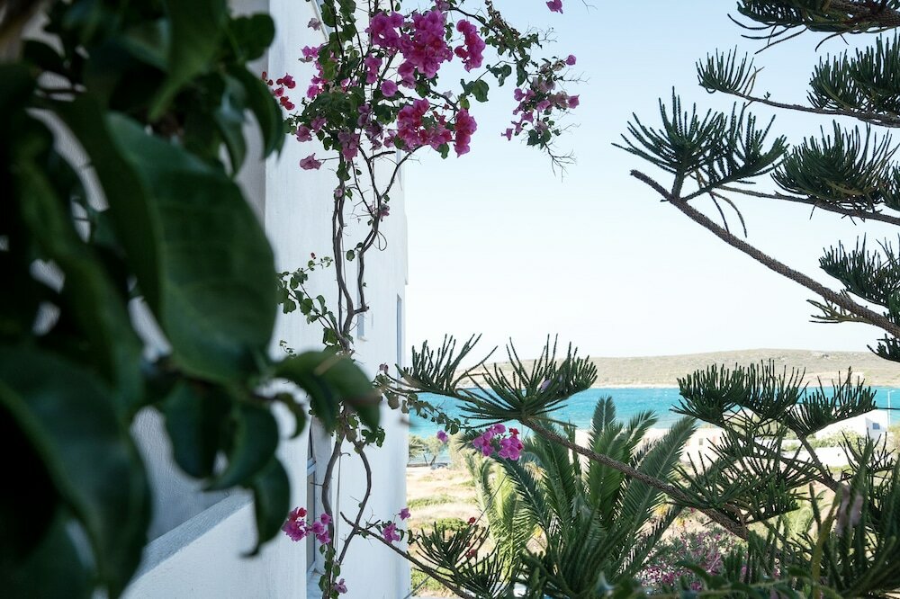 Фото Maistrali Apartments