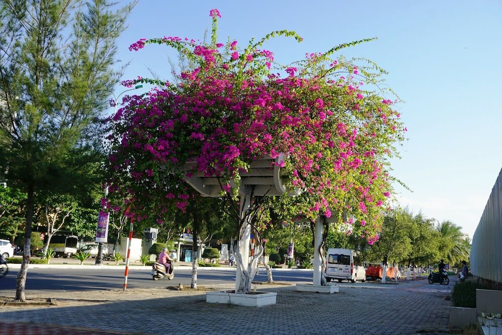 Фото Ocean View Danang Hotel