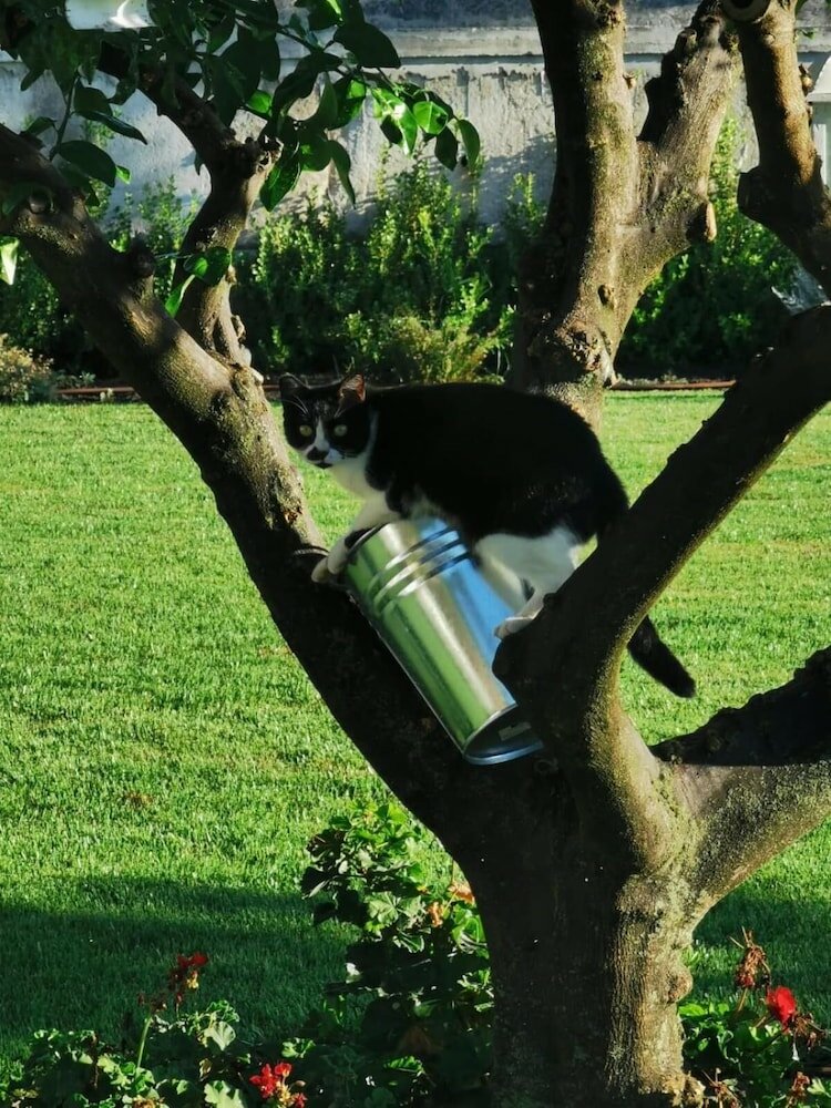 Фото B&b Sykelgrima