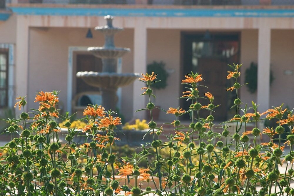 Фото Hotel Font Salada