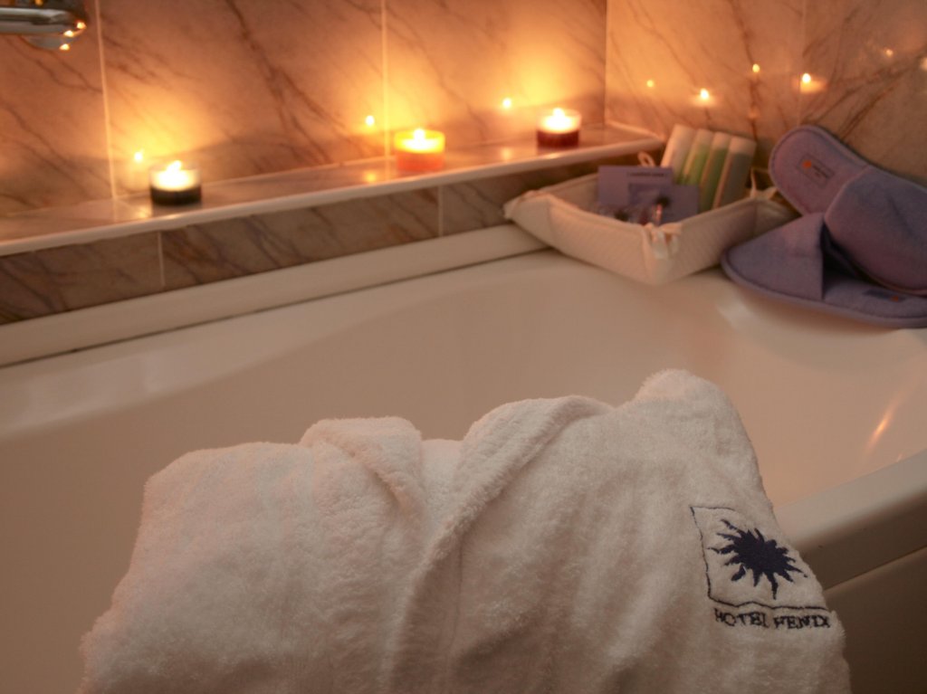 Фото Fenix Hotel