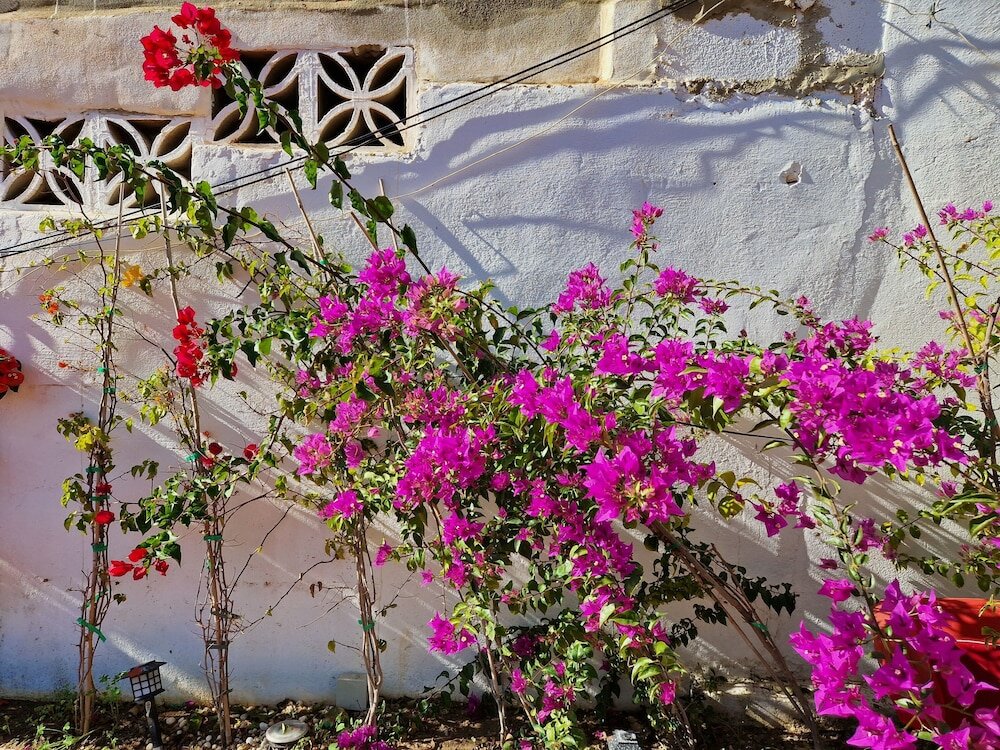 Фото Villa Costa Marbella