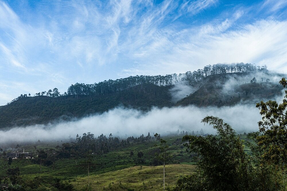 Фото Villa Serenity