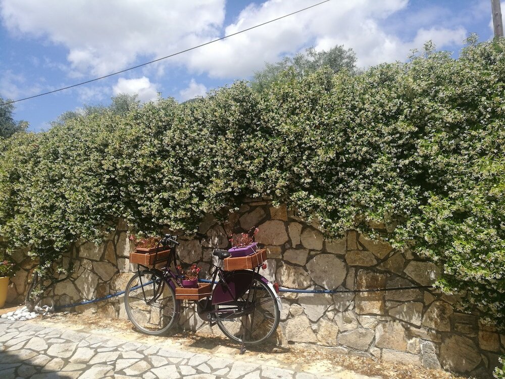 Фото PargaLand Studios & Apartments