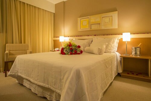 Гостиница Astron Hotel Bauru by Nobile в Бауру