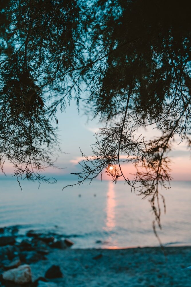 Фото Soleado Luxury Villas