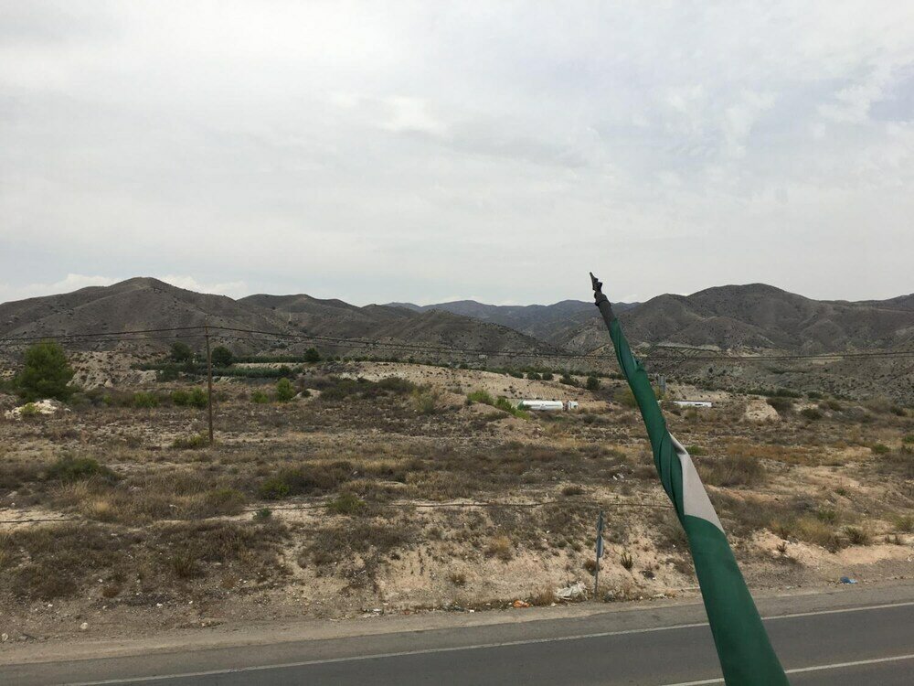 Фото Hostal Mesón Arboleas