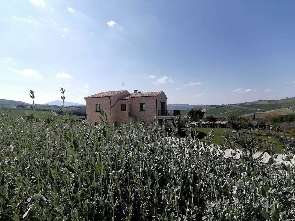 Фото Agriturismo San Nicolino