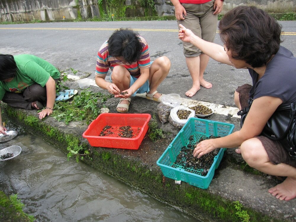 Фото Hofeng Xiangcun B&b