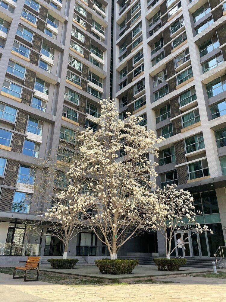 Фото Beijing Seasons Park Apartment