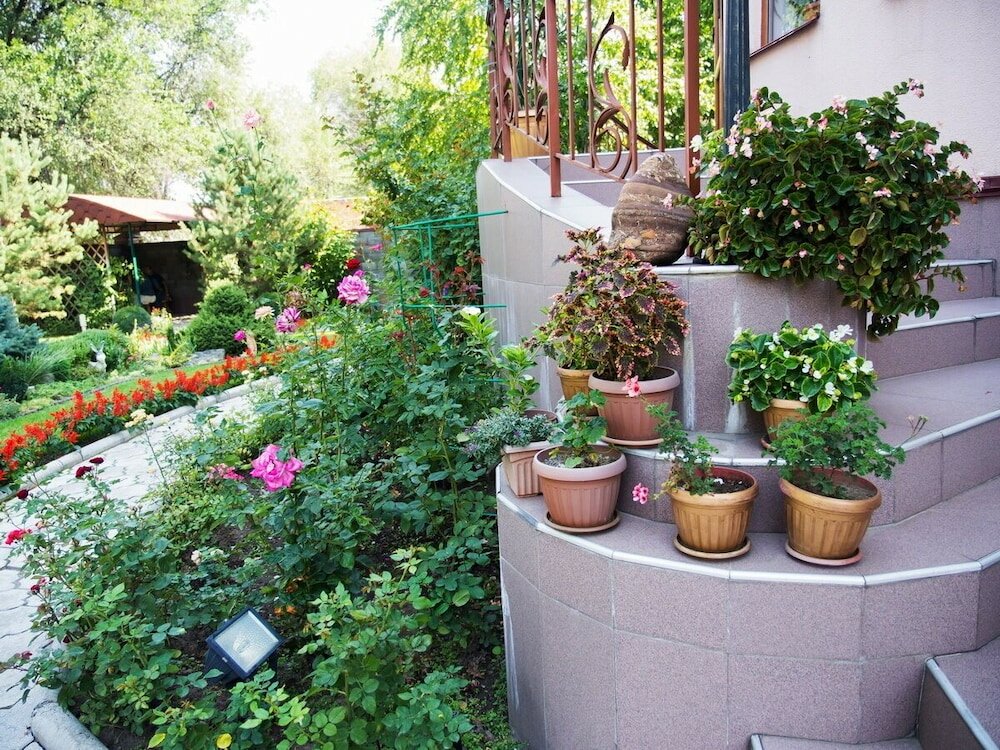 Фото Азия Отель