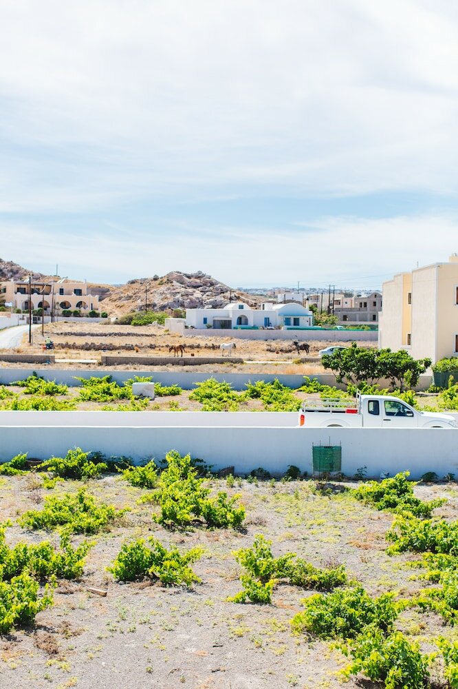 Фото Lovely Mill