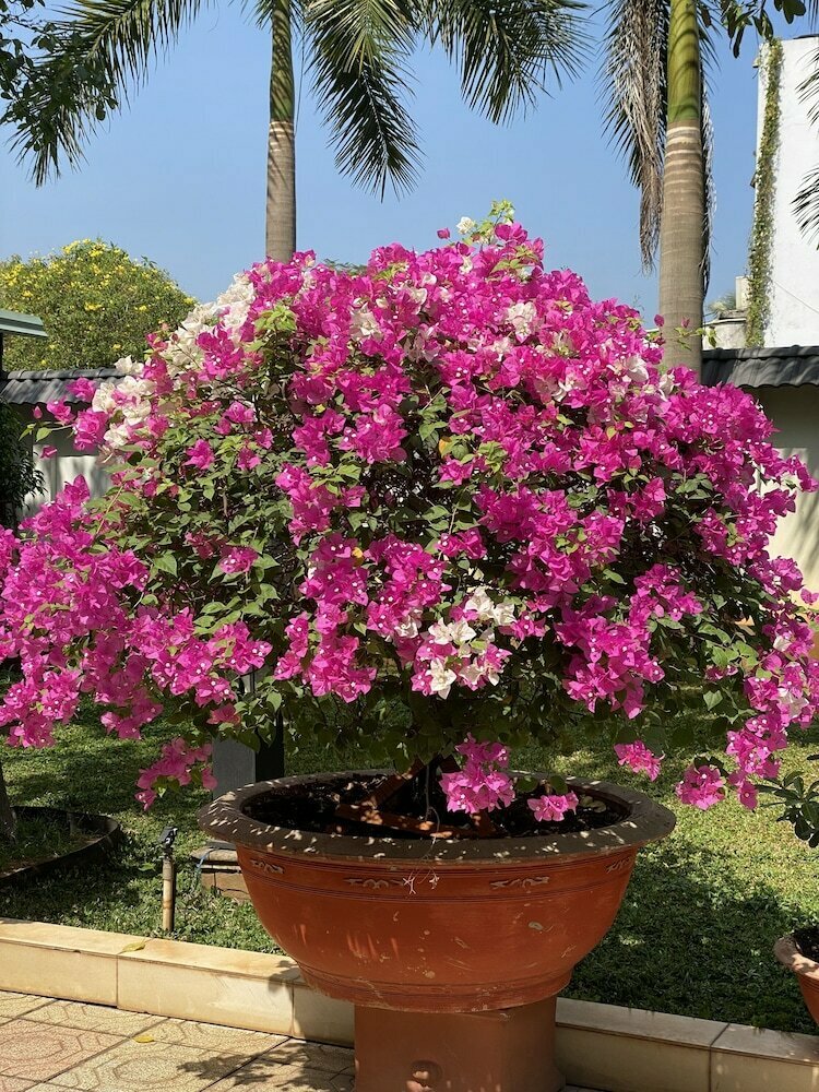 Hotel Hotel An Hoa 2, Bà Rịa‑Vũng Tàu Province, photo