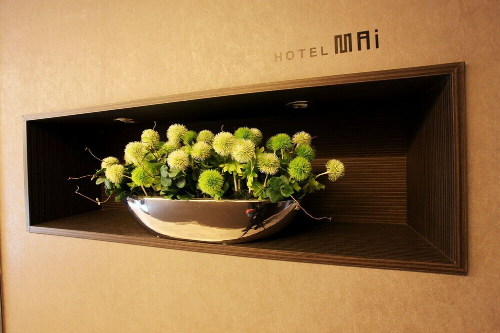 Фото Hansung University May