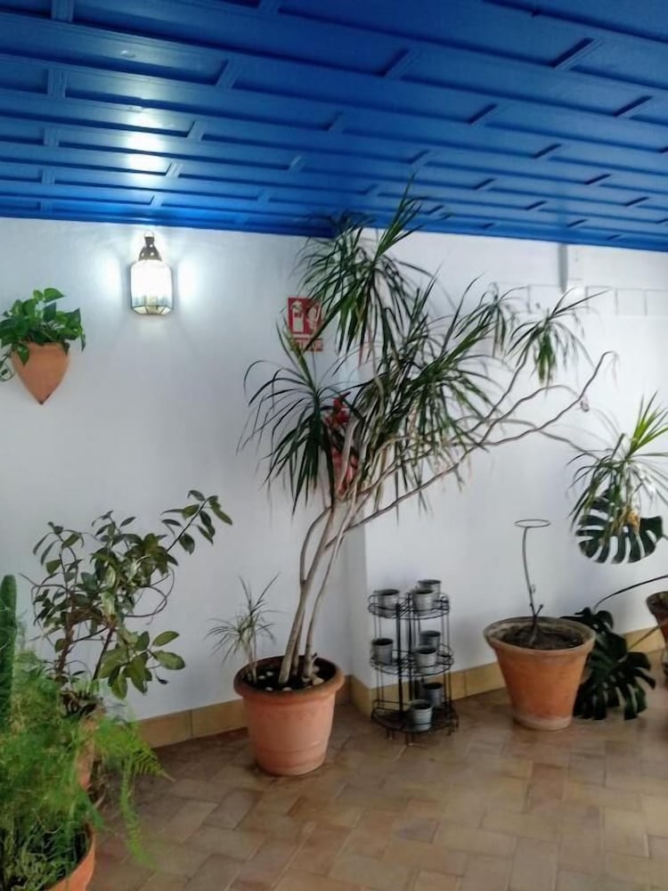 Фото Wish-Suite Juderia de Sevilla Apartment