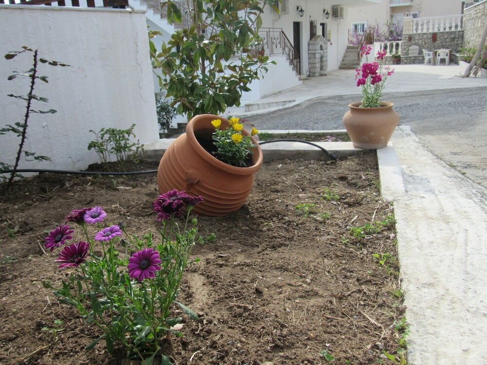 Фото Kallisto Studios