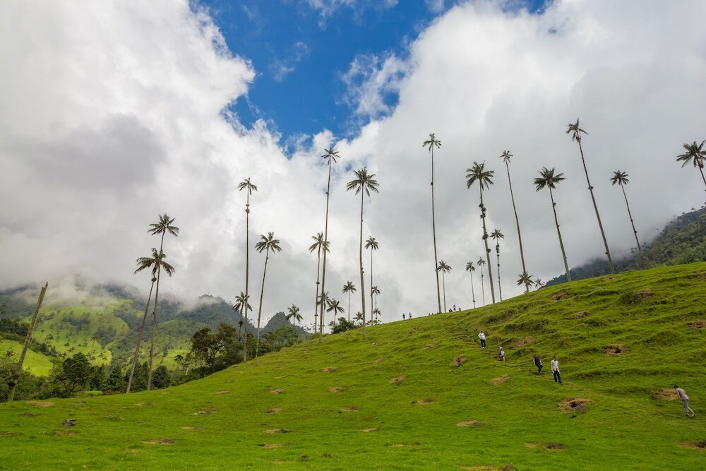 Фото On Vacation Karlaká