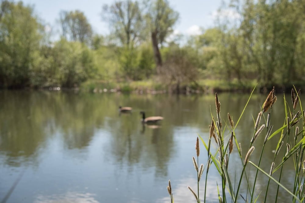 Фото Laurel Lodge Kingfishers