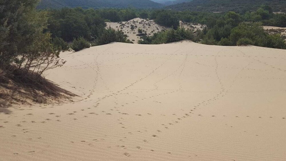 Фото Bed and Breakfast L'Abete