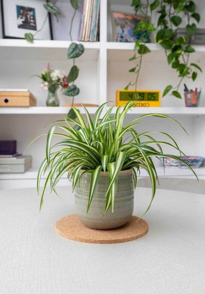 Фото Spacious 3 Bedroom in Notting Hill With Balcony