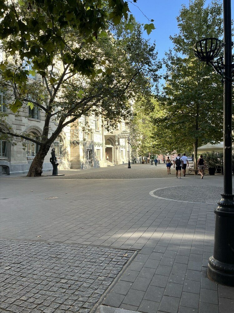 Фото Elena Suite