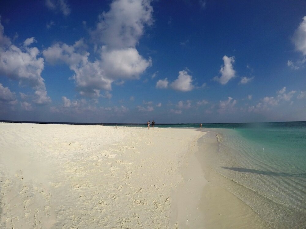 Фото Adroit Beach Inn