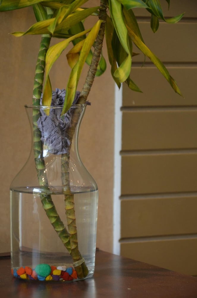 Фото Preet Palace