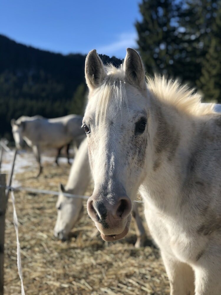 Фото Oak Residence Hotel & Relax