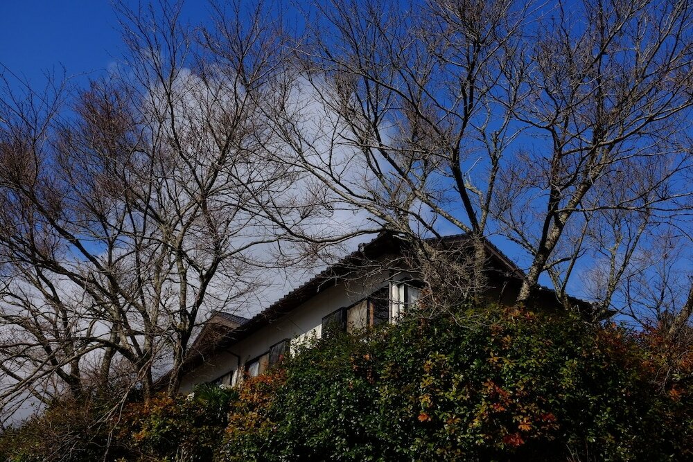 Фото 11003094044