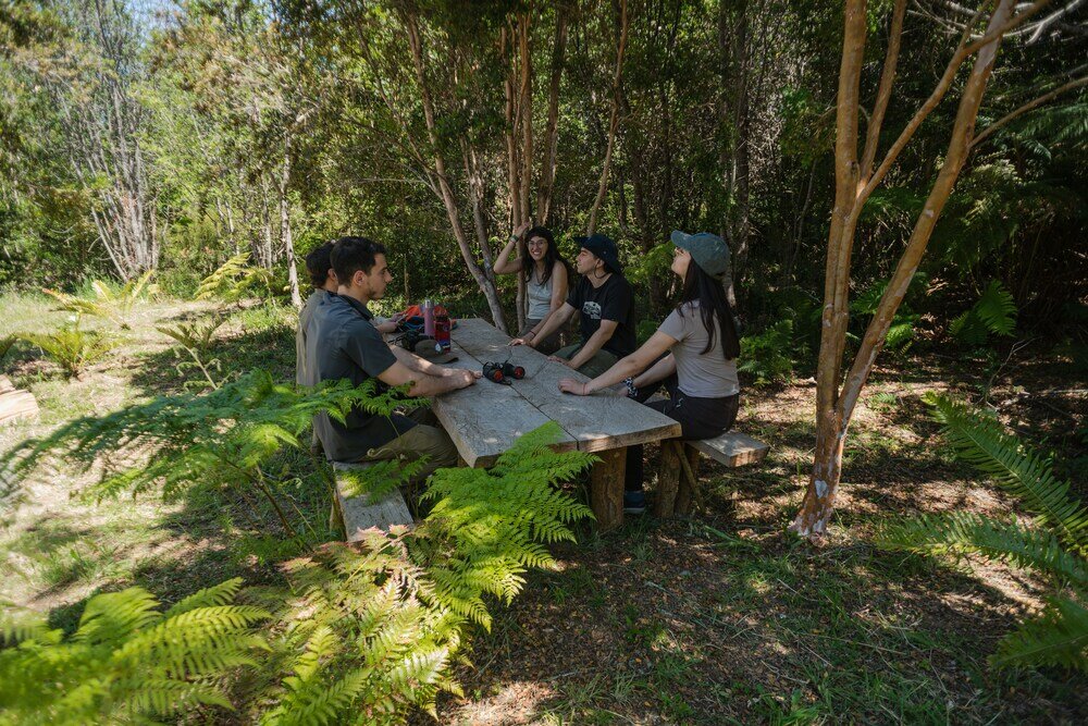 Фото Hotel Parque Tepuhueico