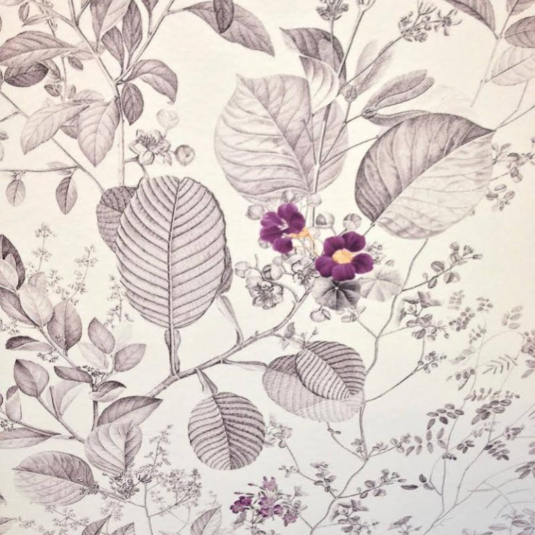 Фото Hotel Mistral