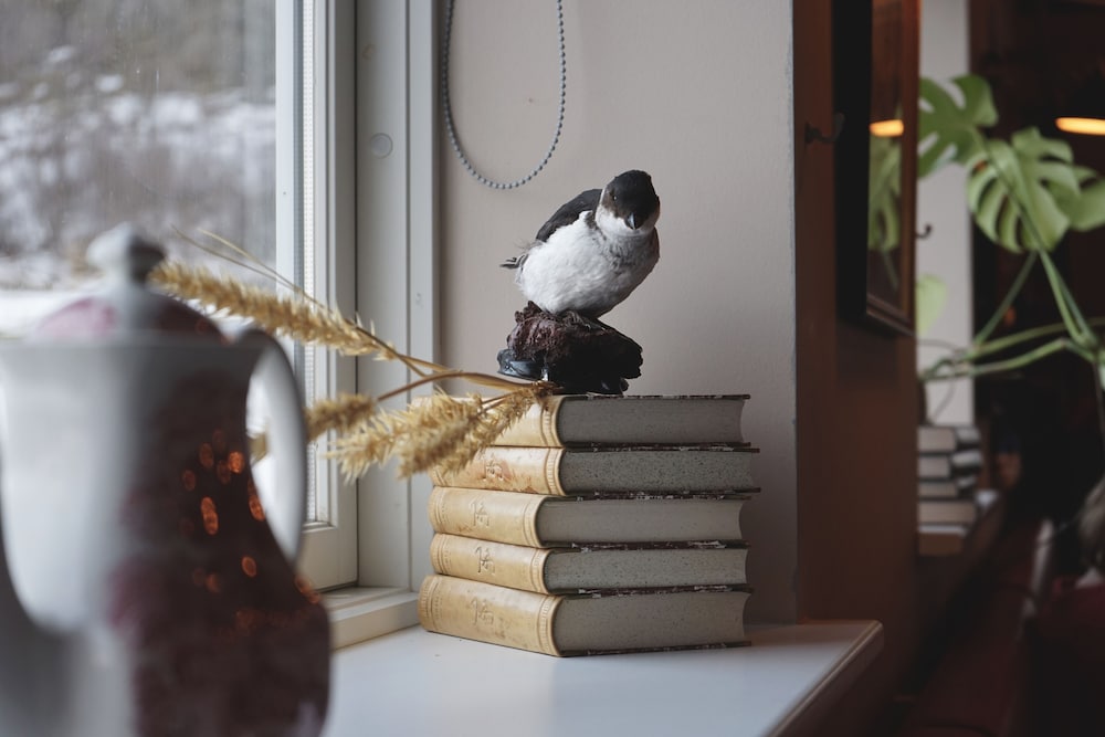 Фото Tehúsið Hostel