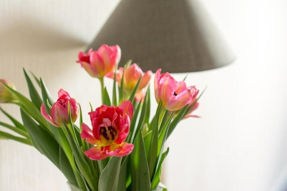 Фото The Originals Boutique, Hôtel Le George, Loches