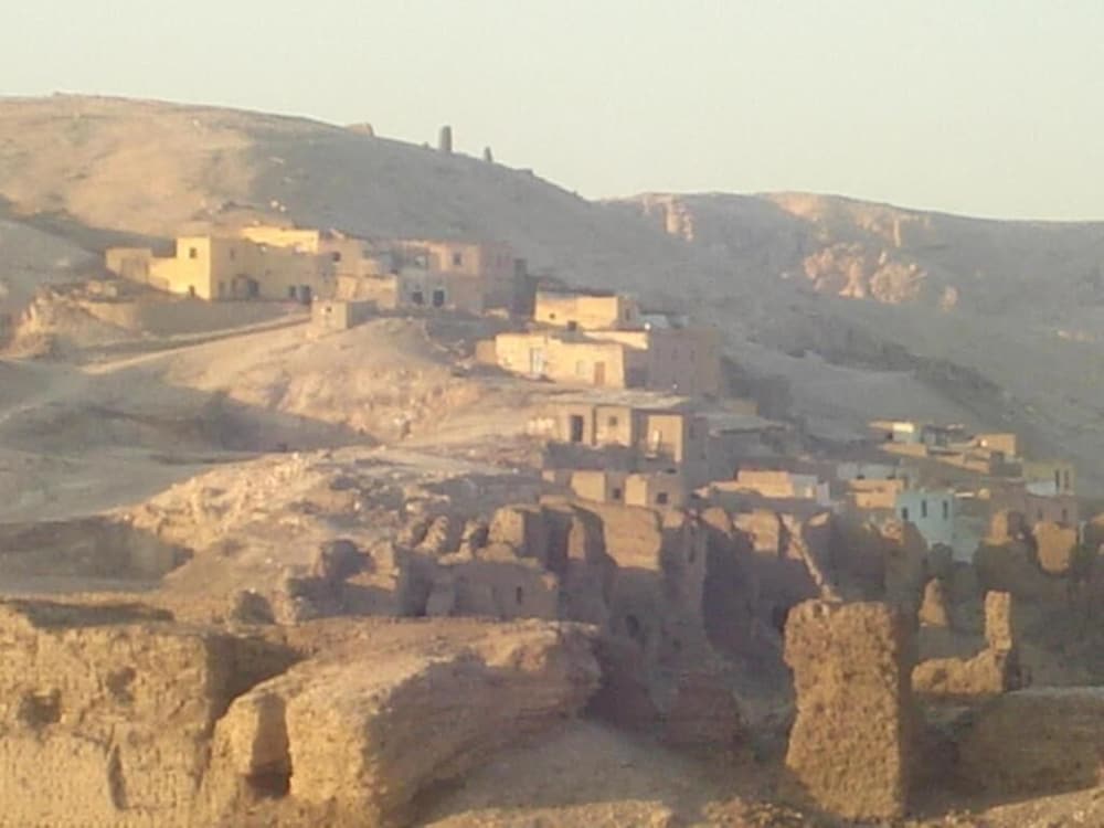 Фото Pharaonic Rose