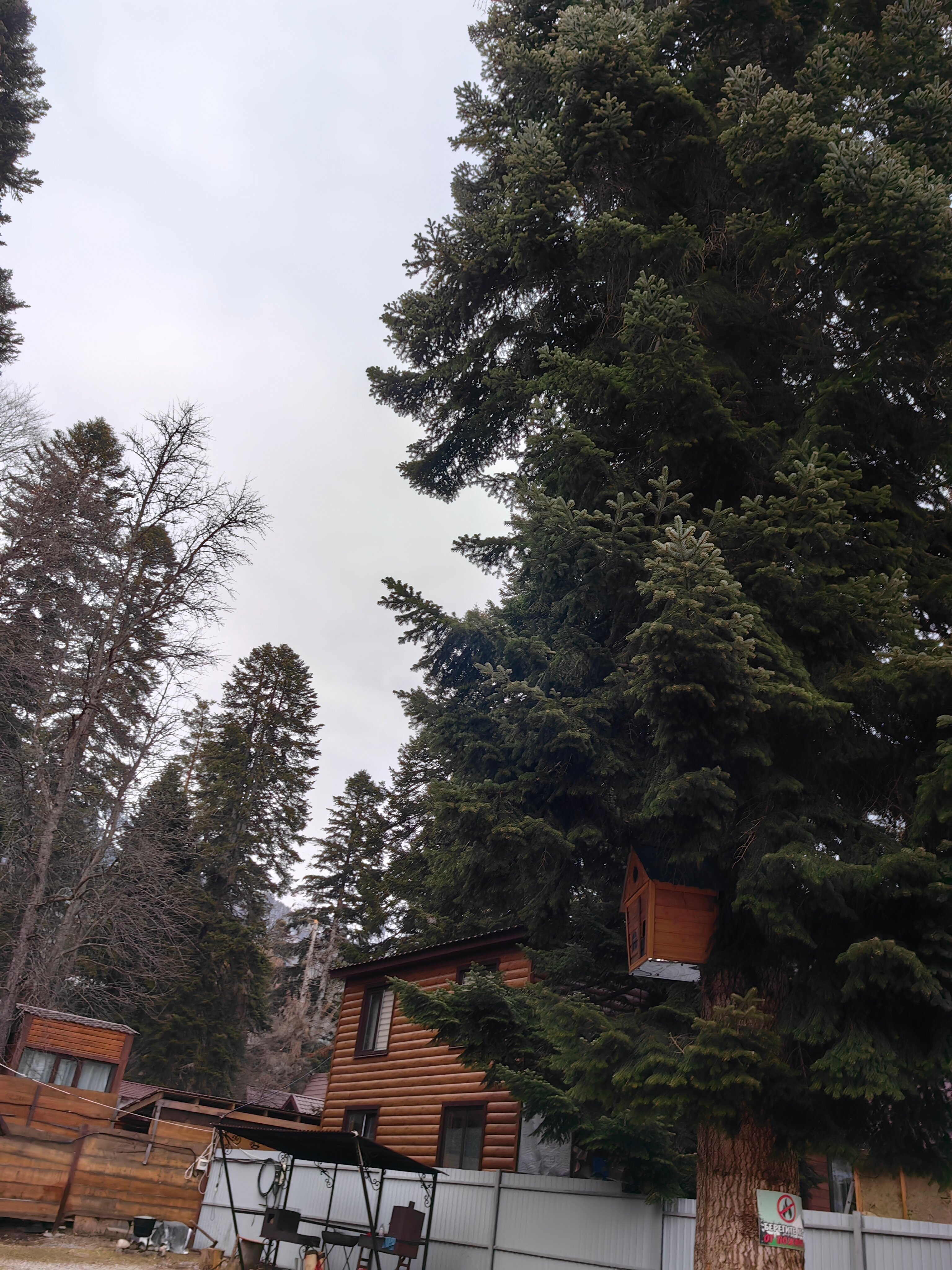 Фото КЪарча