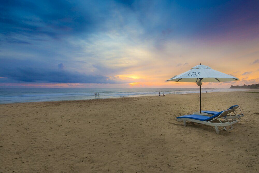 Фото Lucky Elephant