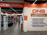 DNS (Берёзовая ул., 4), компьютерный магазин в Видном