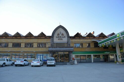 Гостиница Arikan Otel в Позанты