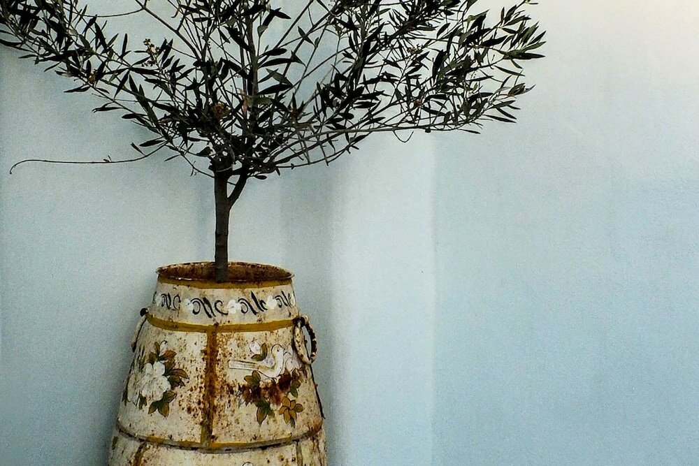 Фото Finikas Hotel