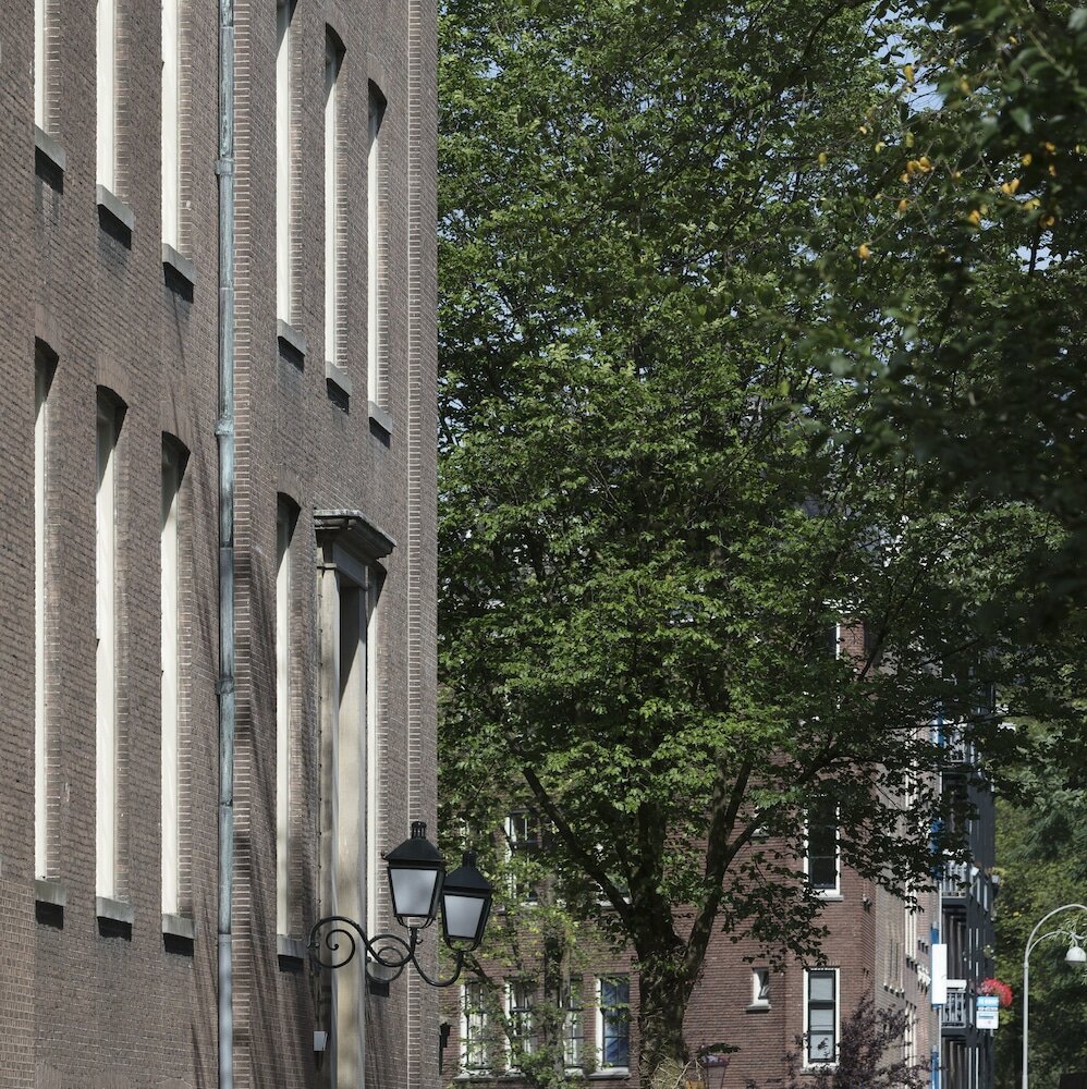 Фото Wittenberg by Cove