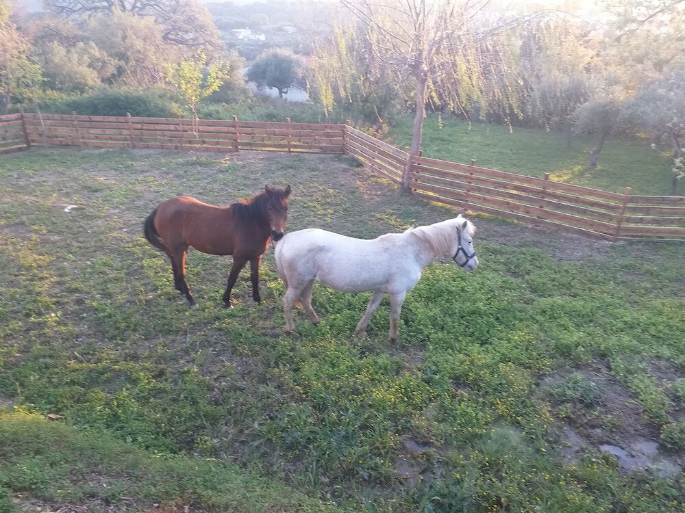 Фото Skantali Peacefull Villa